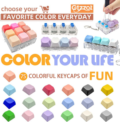Hot swap keyboard switches